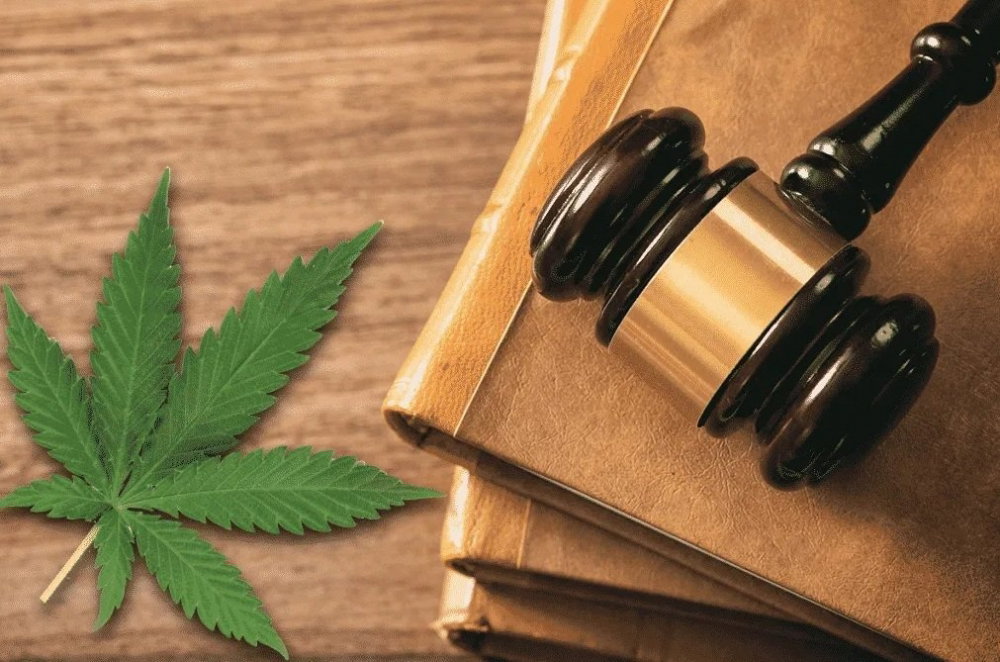 cbd-court-decision(1).png