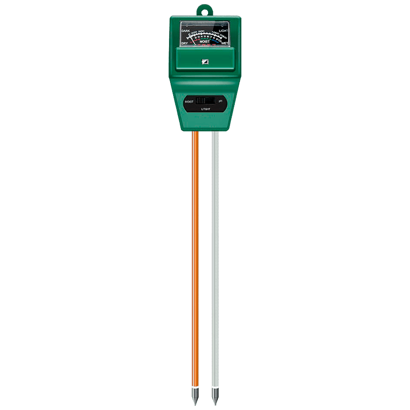 etp306.jpg