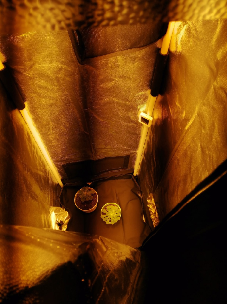 image.thumb.png.f16f567b91e886416db4d06b5b20395b.png
