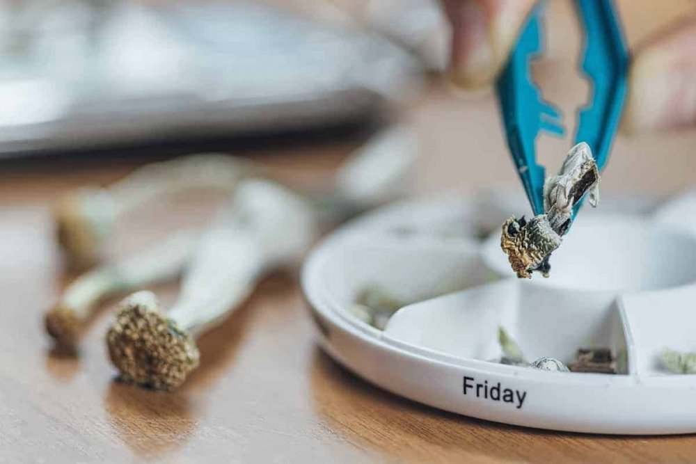 psilocybin-microdose.jpg
