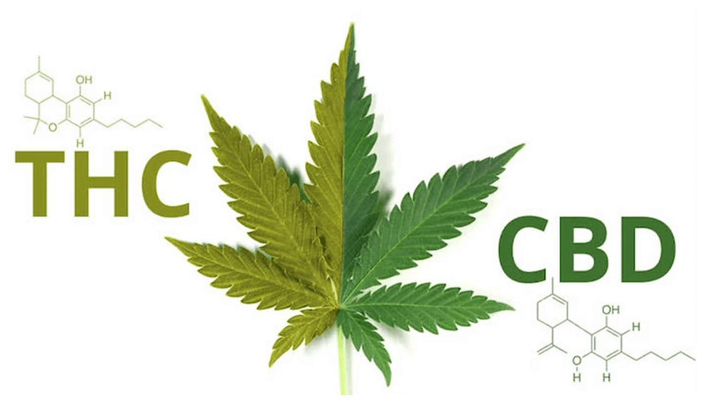 thc-cbd.png