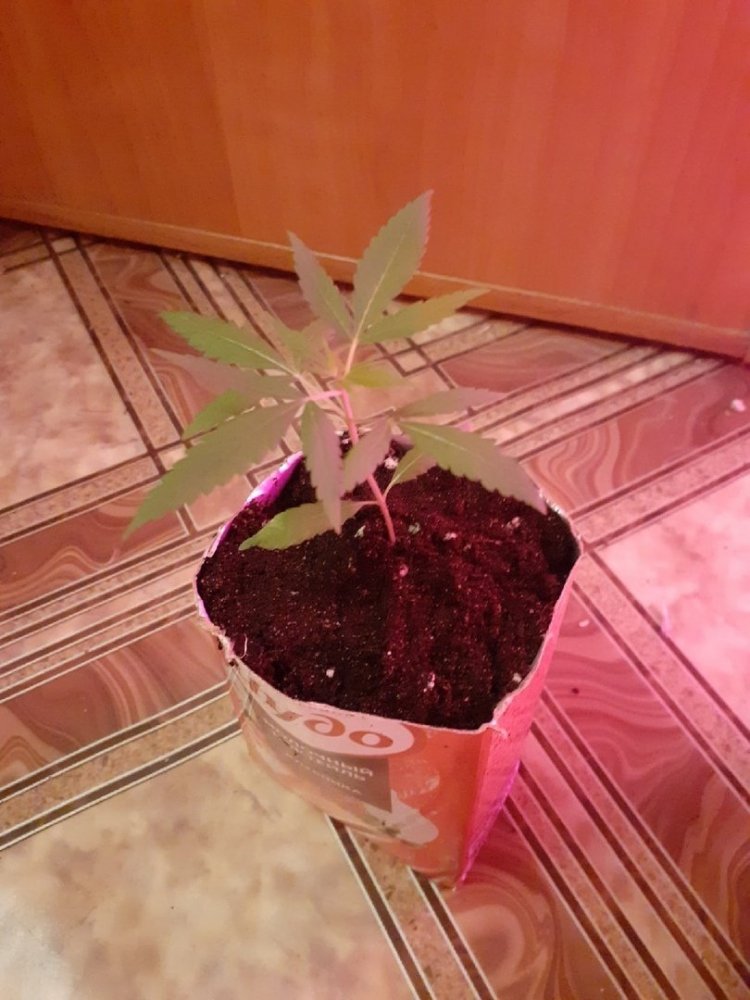 о.jpg