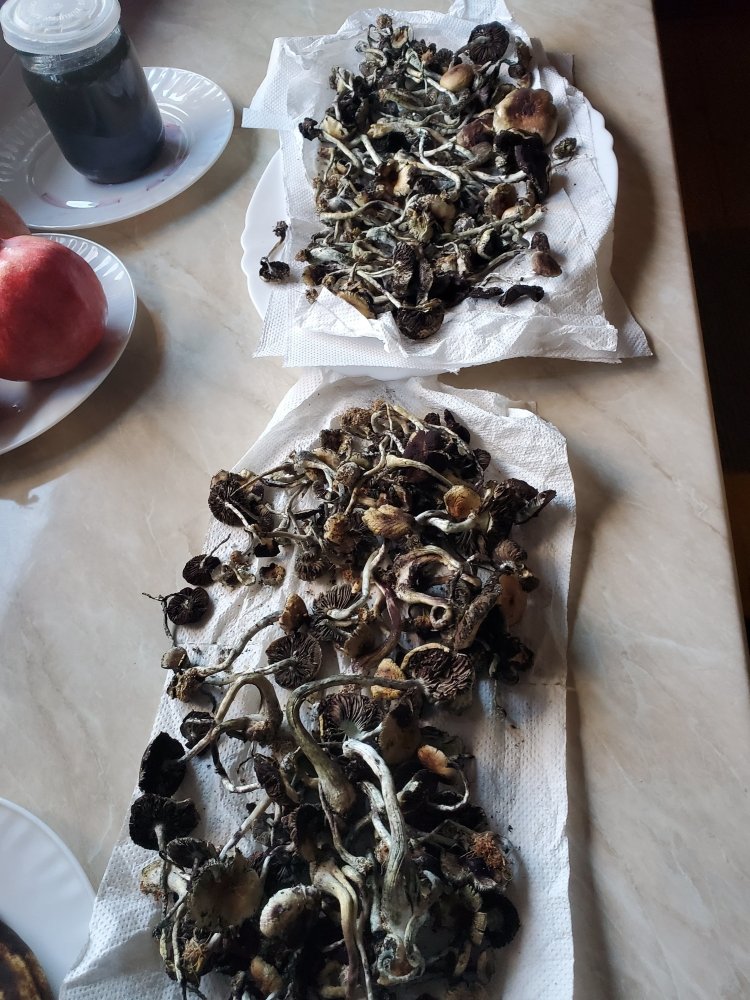 20201205_150709.jpg
