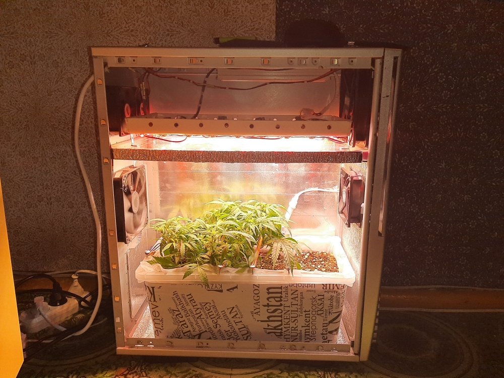 20201207_214508.jpg