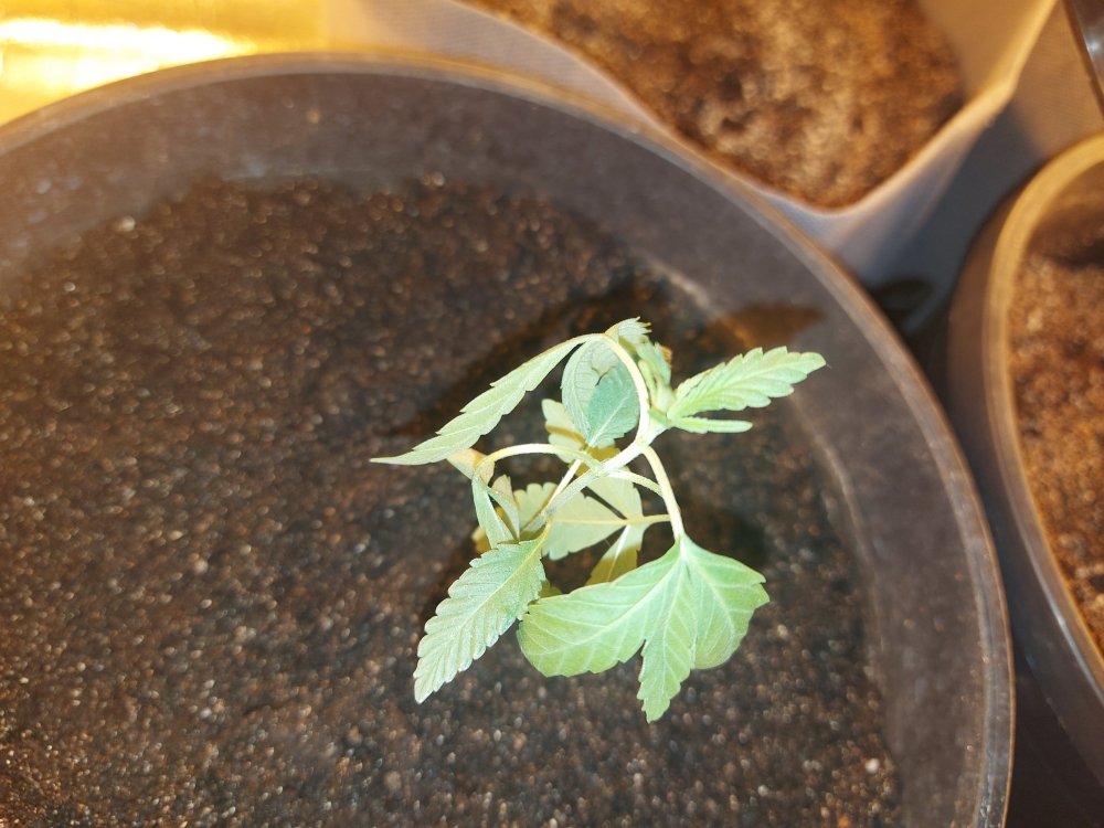 20201229_151104.jpg
