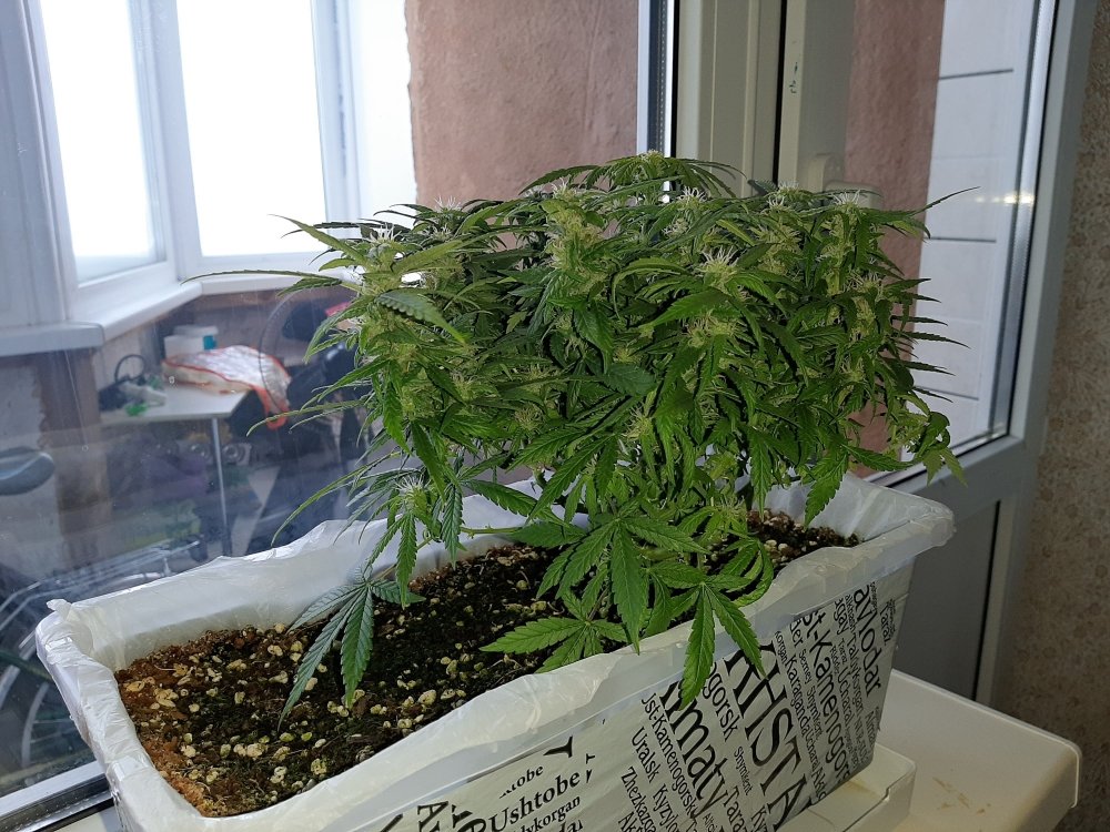 20201230_102814.jpg