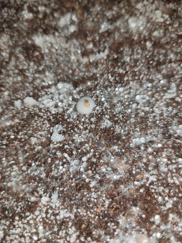 IMG20201206203554.jpg