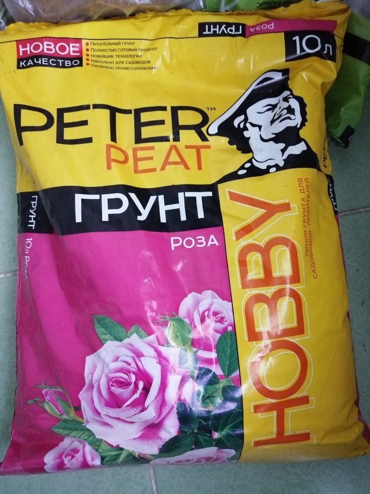 IMG_20201220_120411.jpg