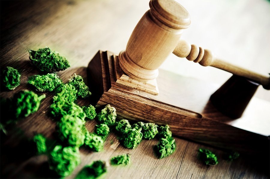 cannabis-high-court.jpg