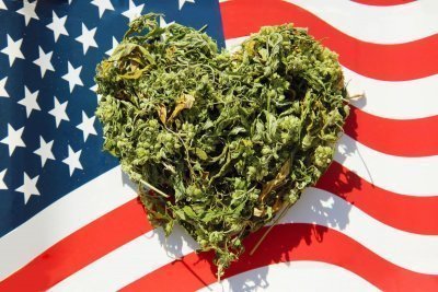 cannabis-usa-house-vote.thumb.jpg.e5c0cf0997d02beb7fdf267aaa7f32e3.jpg.c0a4d3d3fa34e7aa0b215fee52d740d1.jpg