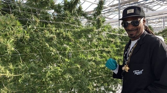 snoop-dogg-cannabis-grow.jpg