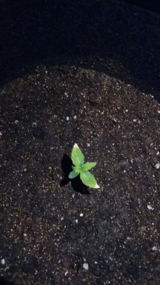 20150307_131858.jpg