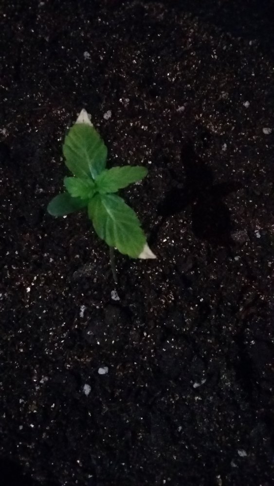 20150307_131948.jpg