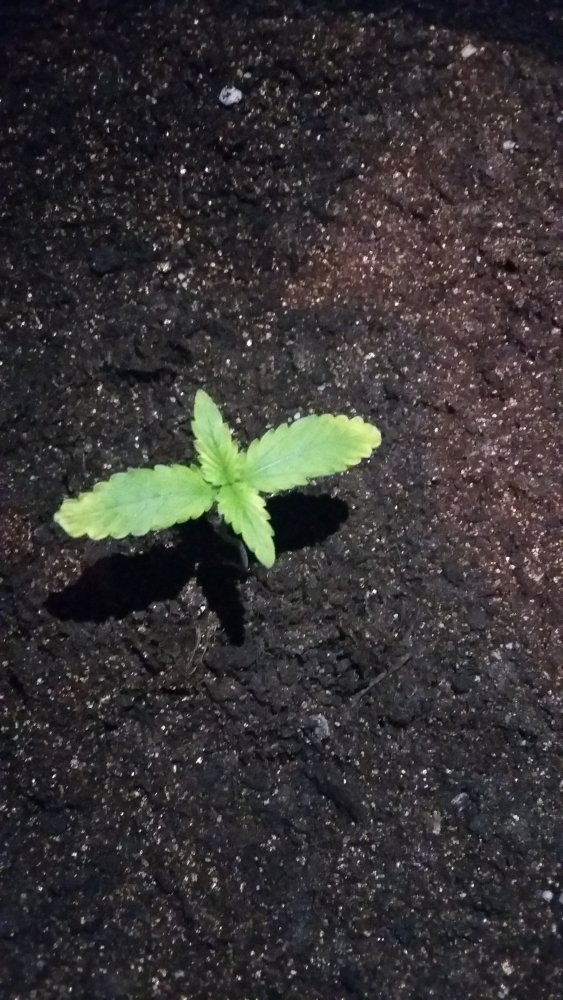 20150307_132000.jpg