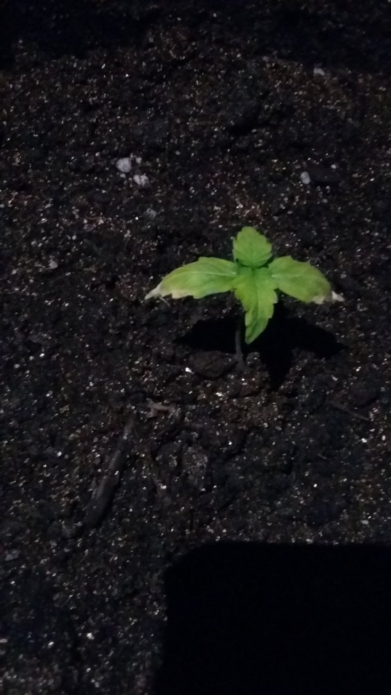 20150309_113104.jpg