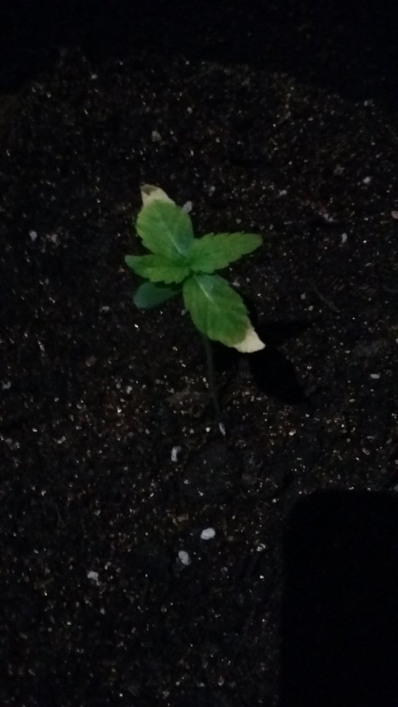 20150309_113120.jpg