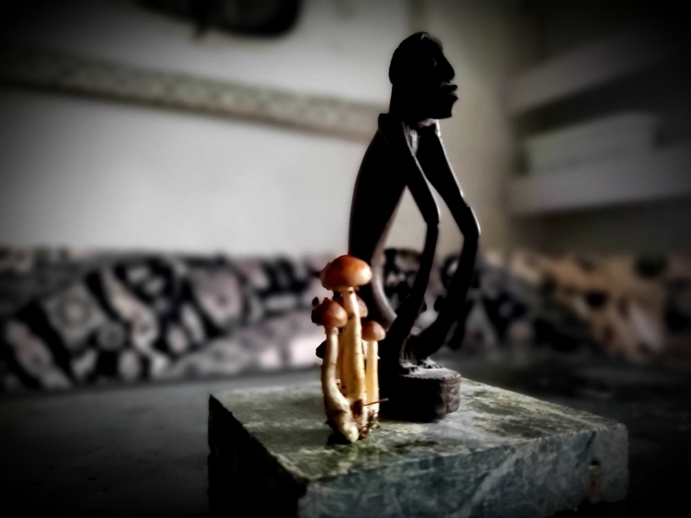 20201124_144319.jpg