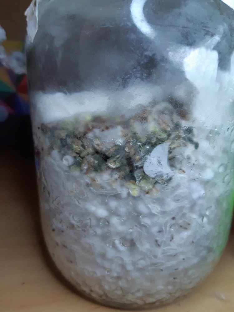 20201203_175300.jpg