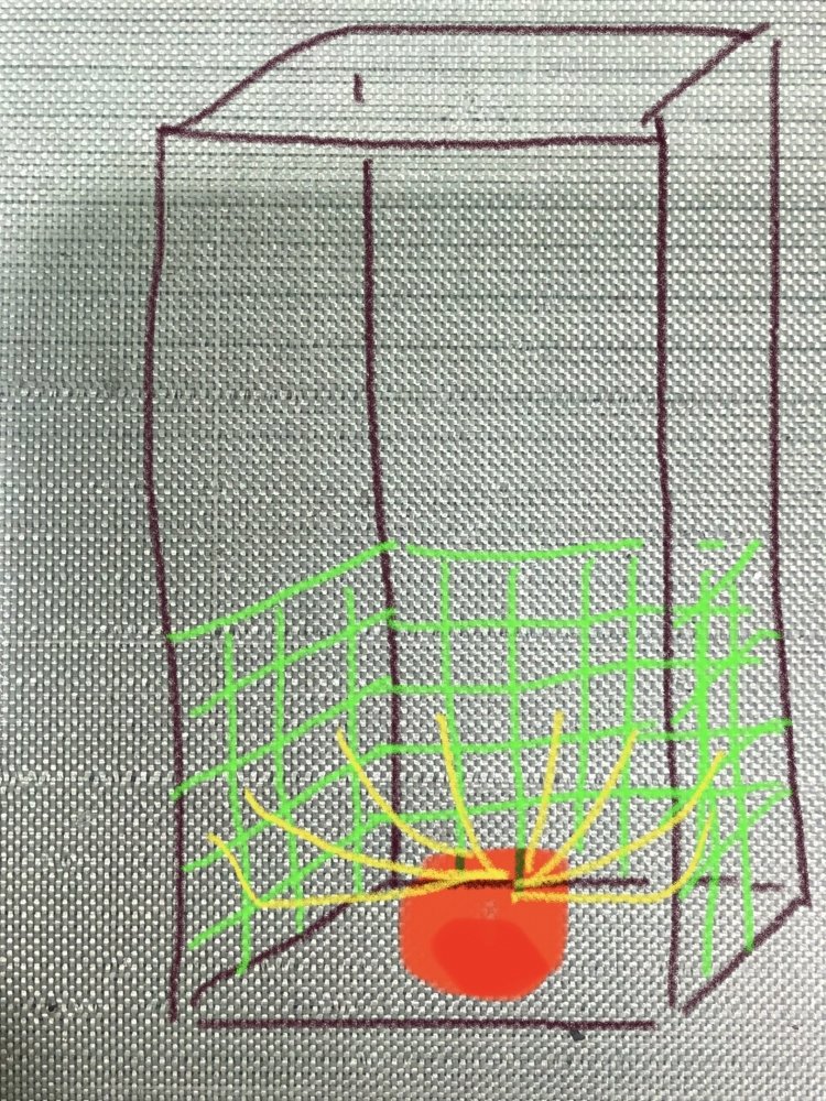 D53CFD86-99E8-482A-9211-BBA9E060EED3.jpeg