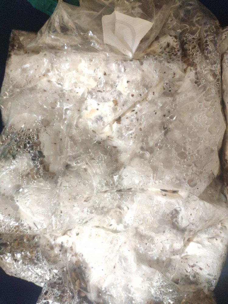 IMG_20210107_223335.thumb.jpg.a5db2629c1c8fda13030b9df4e972c5b.jpg