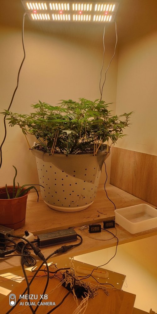 P10112-171552.jpg