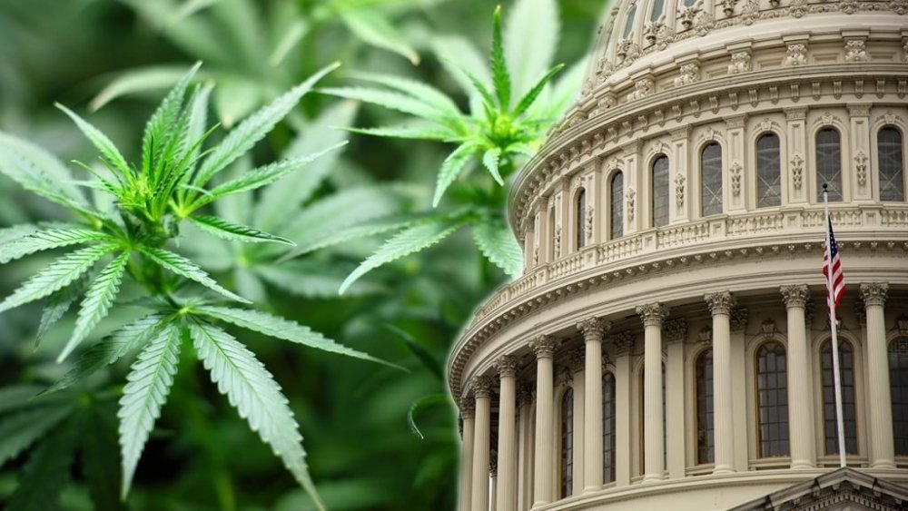 cannabis-us-congress.jpg