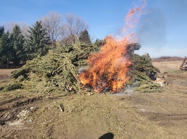 hemp-burn-iowa.jpg
