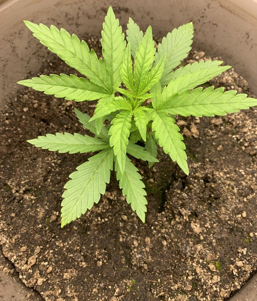 04DFCDFE-60A5-4CD1-891C-4DEB9487C0A8.jpeg