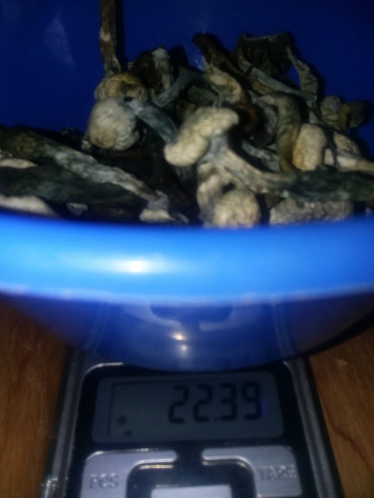 151125.thumb.jpg.848ad837bc833de1d980a5d7d86fd69e.jpg