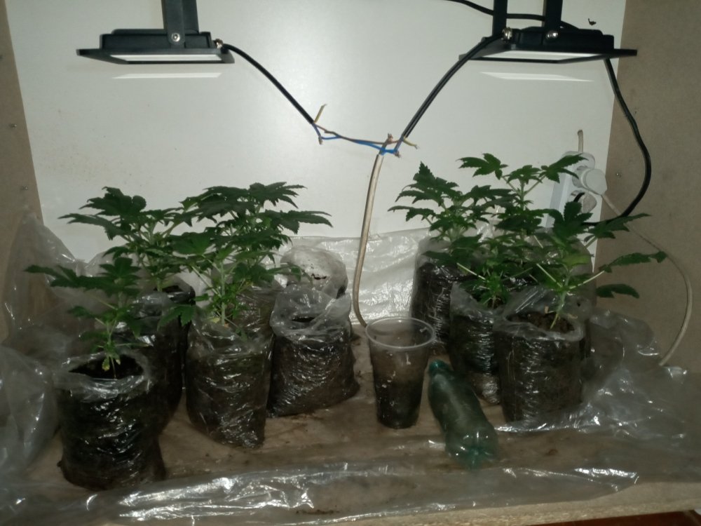 20210203_224031.jpg