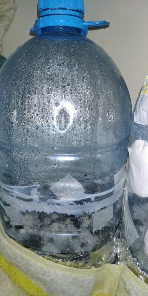 P10203-141645.jpg