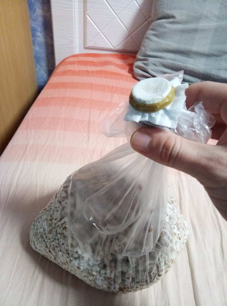 P10215-113517.jpg