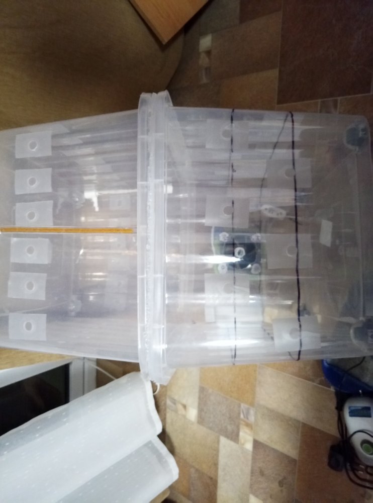 P10215-215023.jpg