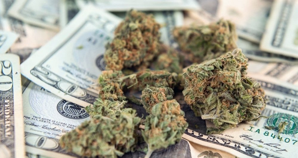 cannabis-money-spent.jpg