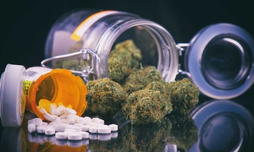 cannabis-vs-opioids.jpg