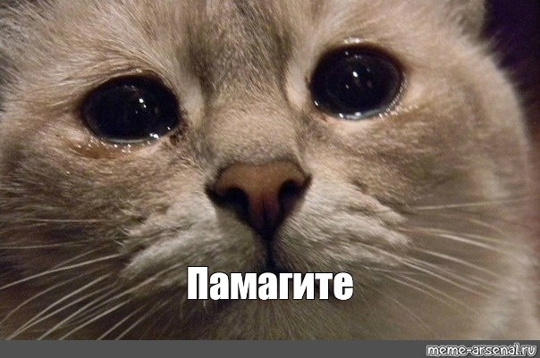 image.thumb.png.4eed5da91c0abd442464fb8750c945bf.png