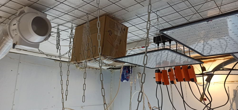 image.thumb.png.95d899e6dc5bee56ccdd0f0d94589806.png