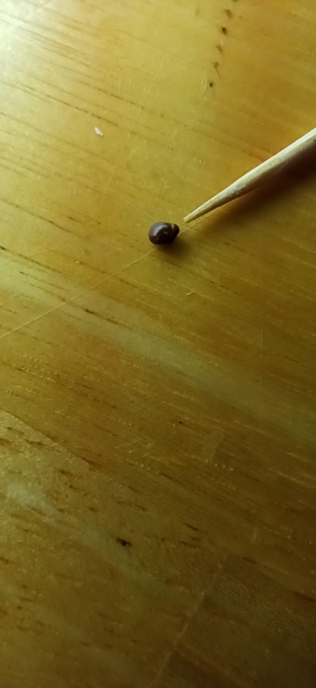 image.thumb.png.d1d1d003790769358f50fcbbab5a049f.png