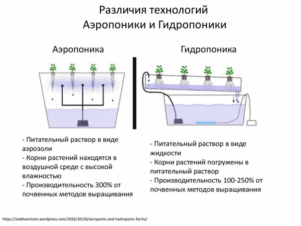 slide-11.thumb.jpg.33b50c14353bd6a0dbe43ffdafdd0b0f.jpg