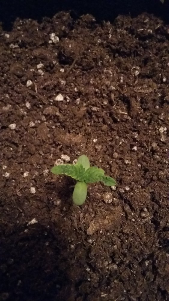 20150427_224815.jpg