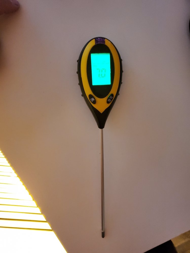 20210327_141251.jpg