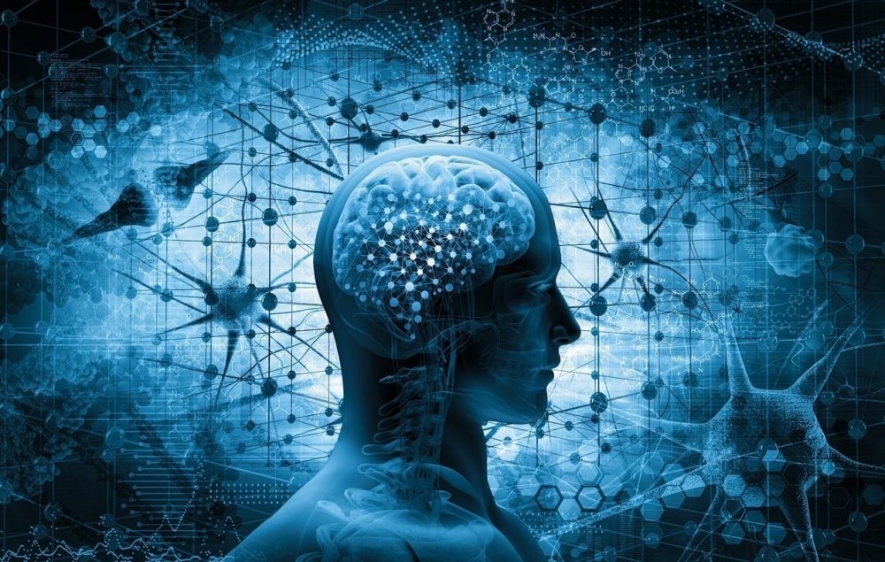 cannabis-neurons.jpg