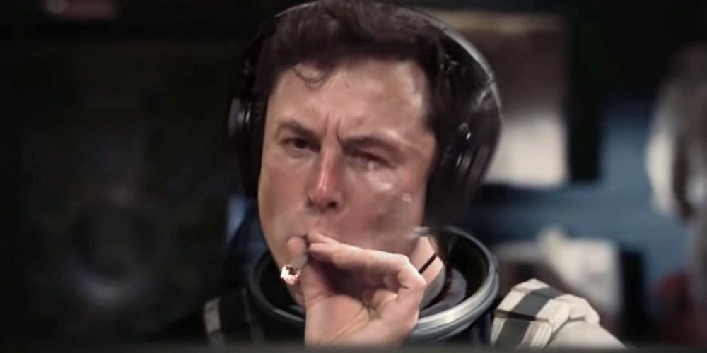 musk1.thumb.jpg.d9579ebaf305605f99460fc37750e7fc.jpg