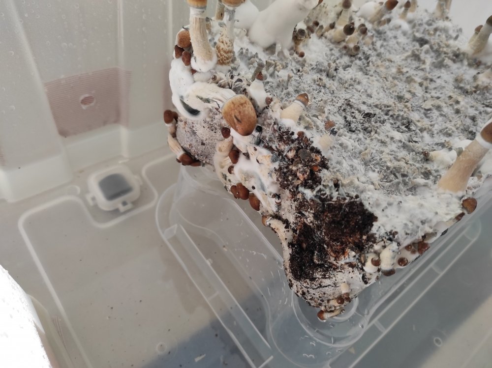 tmp_8975.jpg