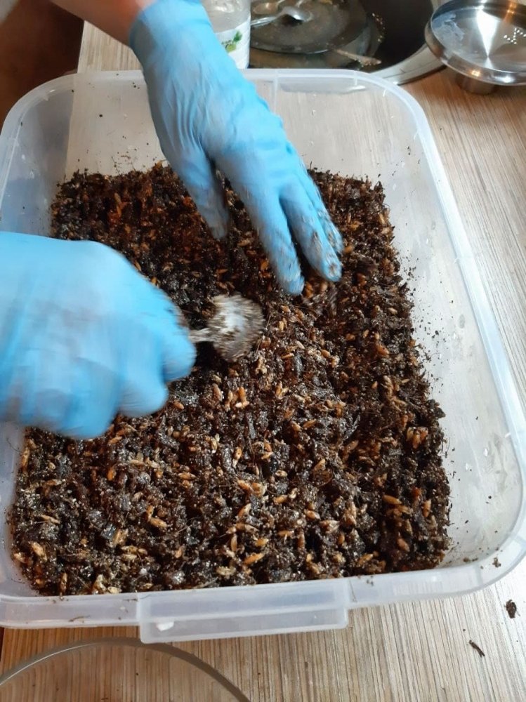 photo_2021-04-05_22-32-19 (2).jpg