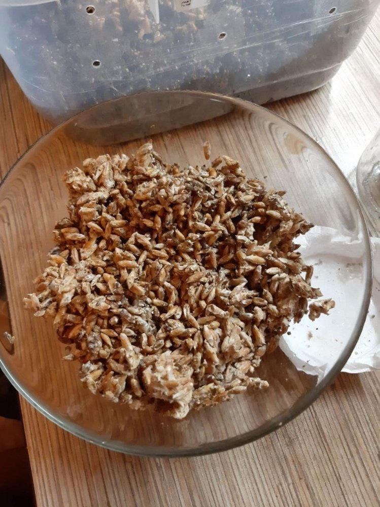 photo_2021-04-05_22-32-20 (2).jpg