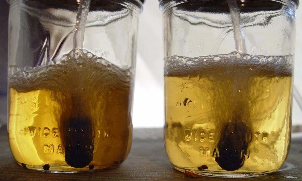 2JarsBubblingCloseup.thumb.jpeg.62647cf31c332c537567bbffe8259c35.jpeg