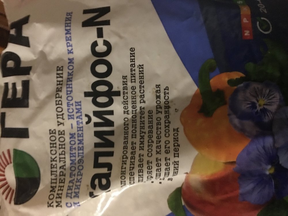 5EA14F2D-1028-4441-83E3-AB8234B04EA7.jpeg