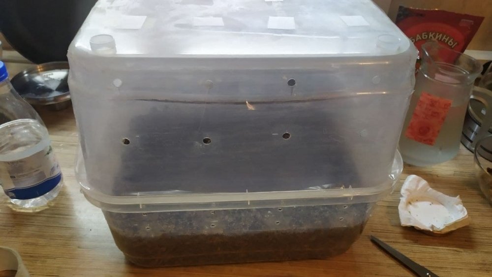 photo_2021-04-05_22-32-26 (2).jpg