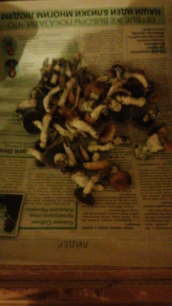 IMG-20210429-WA0012.jpeg